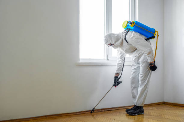 Best Pest Control for Multi-Family Homes  in Flint, MI